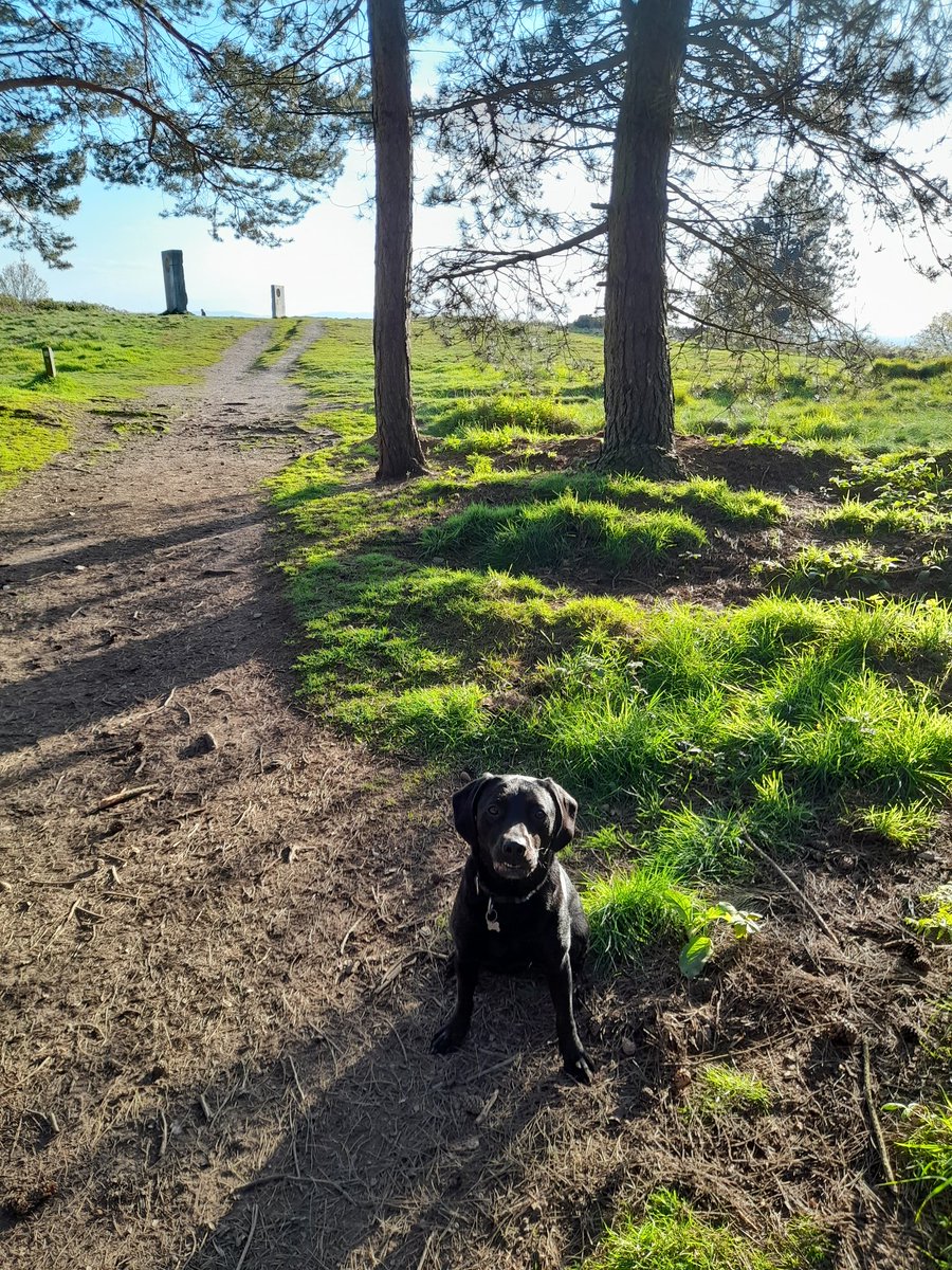 Yesterday's mile, which I forgot to post, and today's two runs, the second of which was much more enjoyable. 547/2024 #run2024in2024 #ukrunchat #runchat