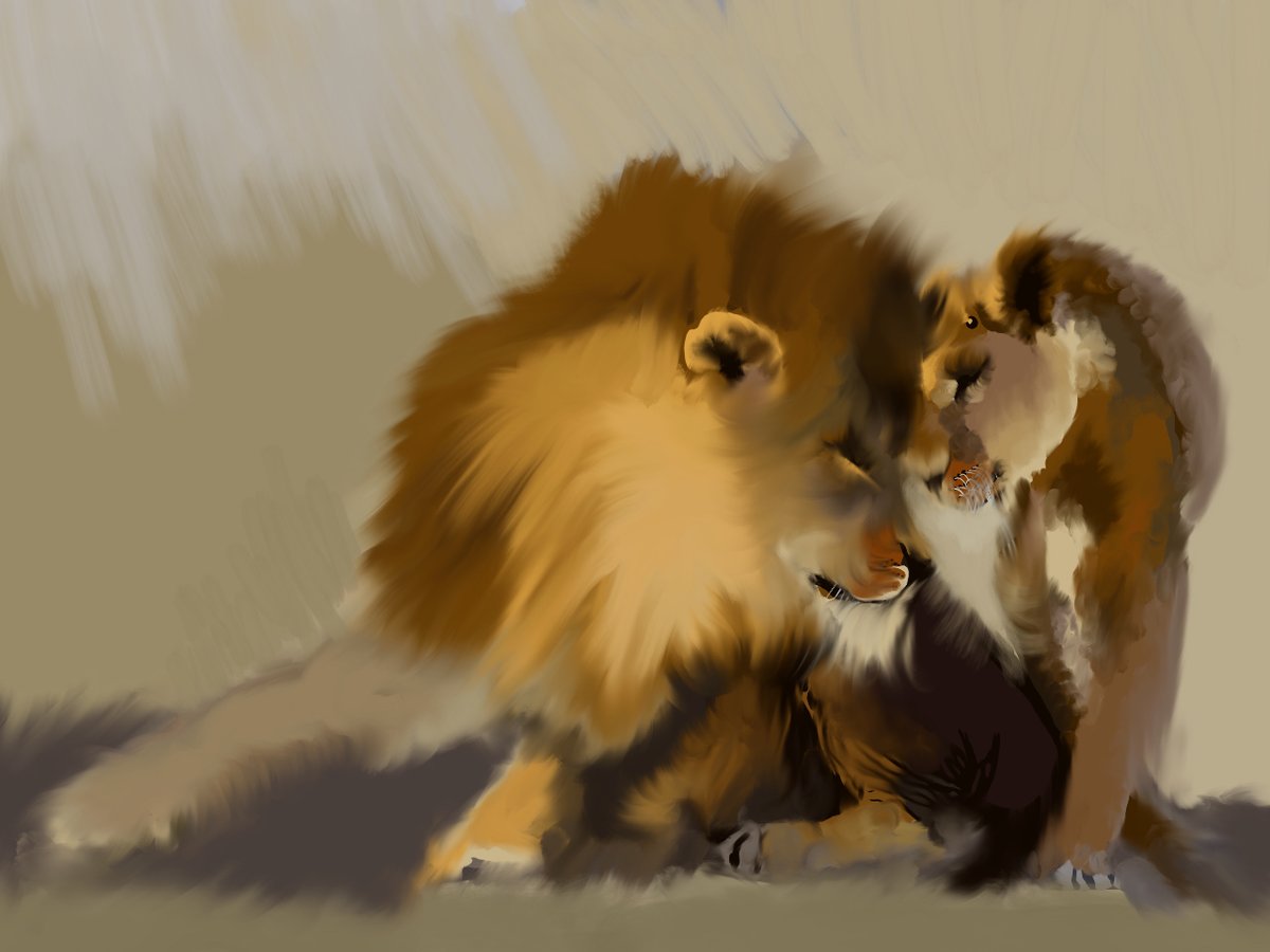 rbkfuchs's tweet photo. Today we turn to lion's love for painting ideas....
#procreatesketches #pencilsketches #wildlifeart #lionslove #tenderlions #softfur https://t.co/jI4TjGHdpg