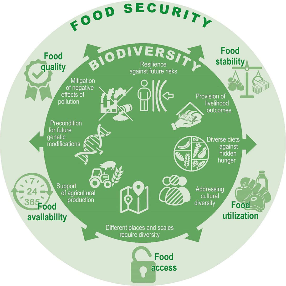 Why is #biodiversity important for safeguarding #FoodSecurity? Here are eight arguments by Peter Dannenberg, et al. 👇

📖 ow.ly/6zCM50Rn9lY

#NewIssue @wileyfoodsci