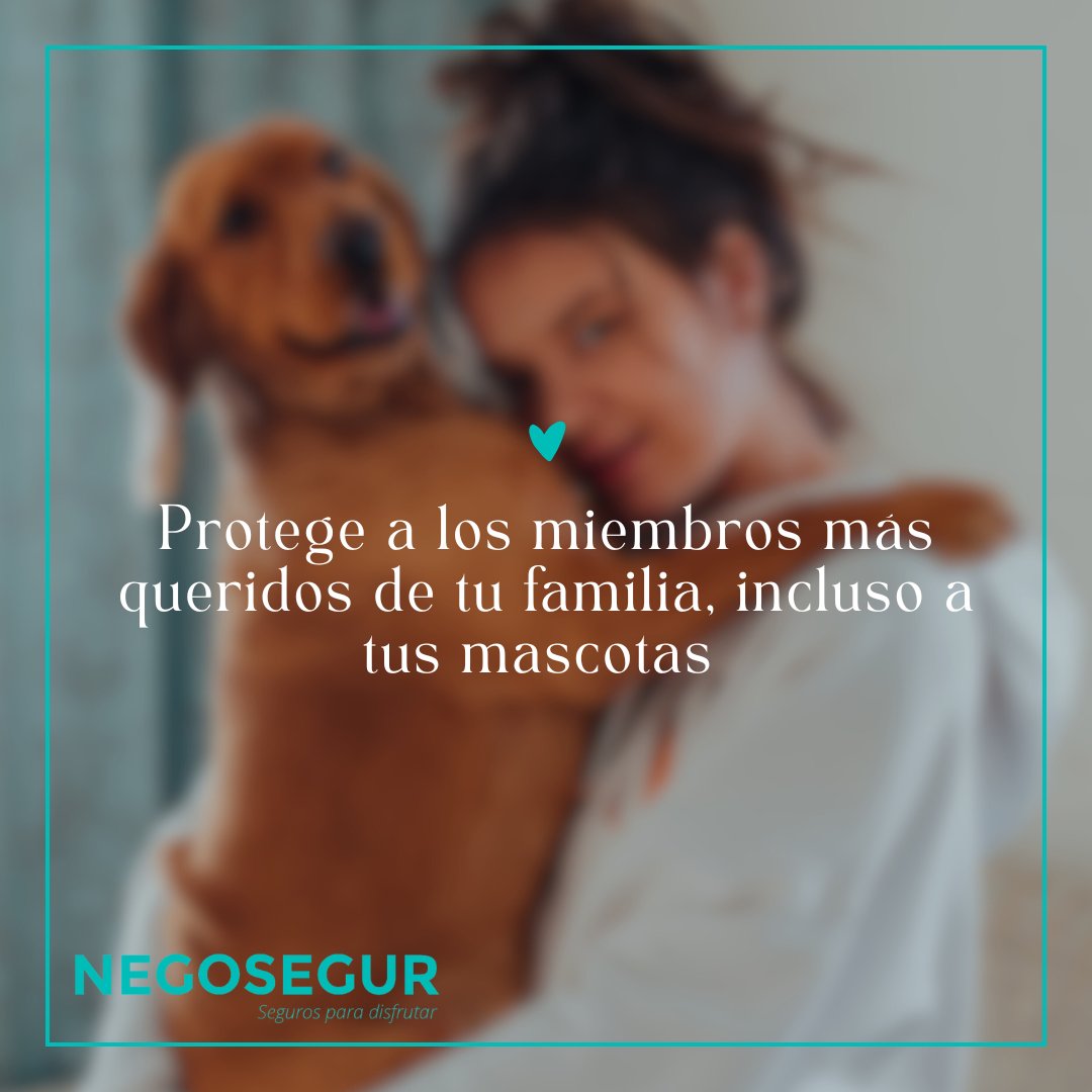 negosegur's tweet photo. Con nuestro #seguro de #decesos, aseguramos también a tus #mascotas. 🐾🪽✝️

negosegur@negosegur.es
https://t.co/HBNV59x2Za

#asegurar #animales #perros #gatos #protección #negosegur #defunción https://t.co/6GeaYWI9RY