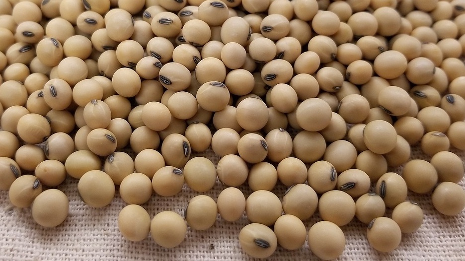Top 10 Countries Production of Soya beans 1.🇧🇷 Brazil: 120,701,031 (tonnes) 2.🇺🇸 United States: 116,377,000 3.🇦🇷 Argentina: 43,861,066 4.🇨🇳 China: 20,280,000 5.🇮🇳 India: 12,986,720 6.🇨🇦 Canada: 6,543,158 7.🇷🇺 Russia: 6,003,152 8.🇵🇾 Paraguay: 4,532,103 9.🇧🇴 Bolivia: 3,457,143