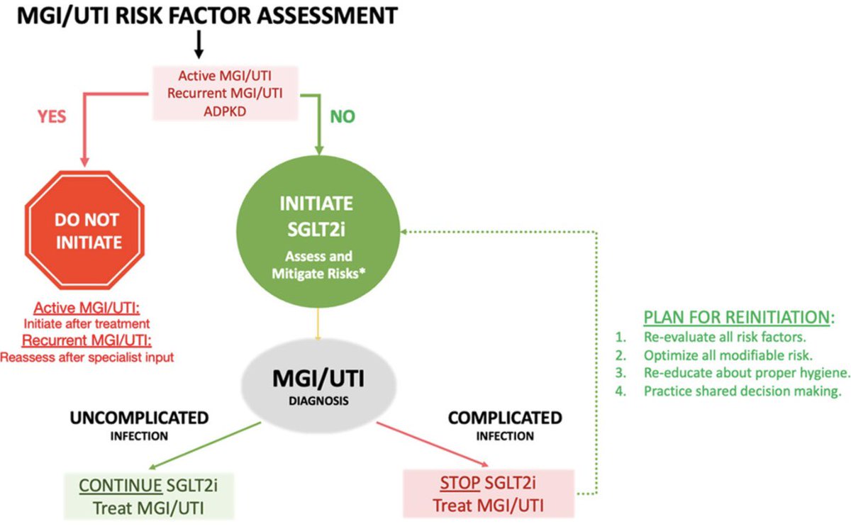 A common clinical question that has come up several times in clinic recently. Thanks @AngelaDuvalyan and team for offering practical guidance on the management of UTIs and mycotic genital infections with #SGLT2is. Will be sharing with my team! #GDMTWorks @JCardFail