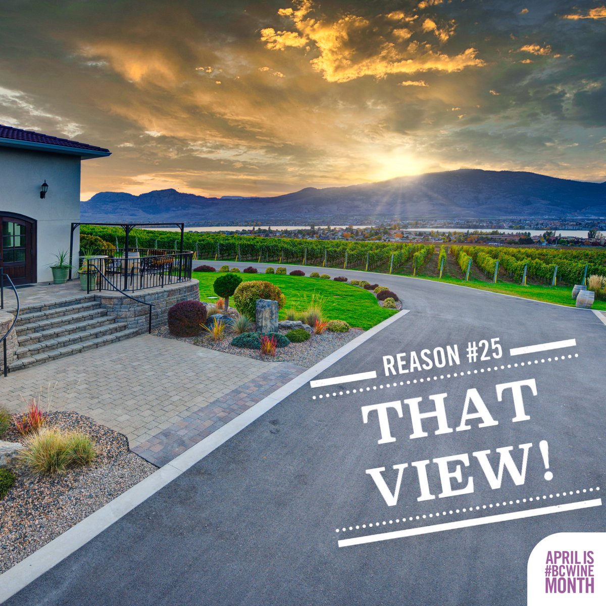 mooncurser's tweet photo. It’s #BCWineMonth &amp; there’s always a reason to enjoy BC wines. Come enjoy our view!

Moon Curser’s Tasting Room is open DAILY 10am - 5pm, last tasting 4:30. Reservations recommended, walk-ins available when time &amp; space permits. 

Hope to see you soon!

📸 @lionel_trudel #BCWine https://t.co/misStR4mD4