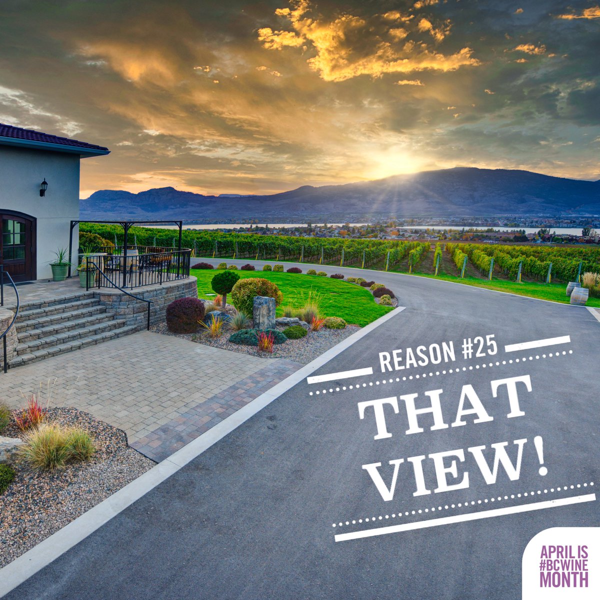 It’s #BCWineMonth & there’s always a reason to enjoy BC wines. Come enjoy our view! Moon Curser’s Tasting Room is open DAILY 10am - 5pm, last tasting 4:30. Reservations recommended, walk-ins available when time & space permits. Hope to see you soon! 📸 @lionel_trudel #BCWine