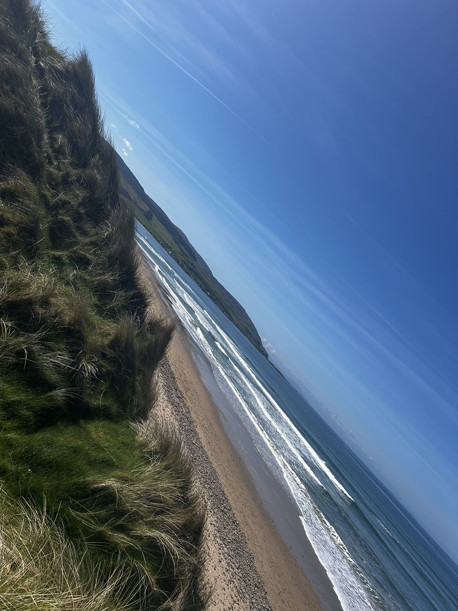 Stevie Gil tweet media