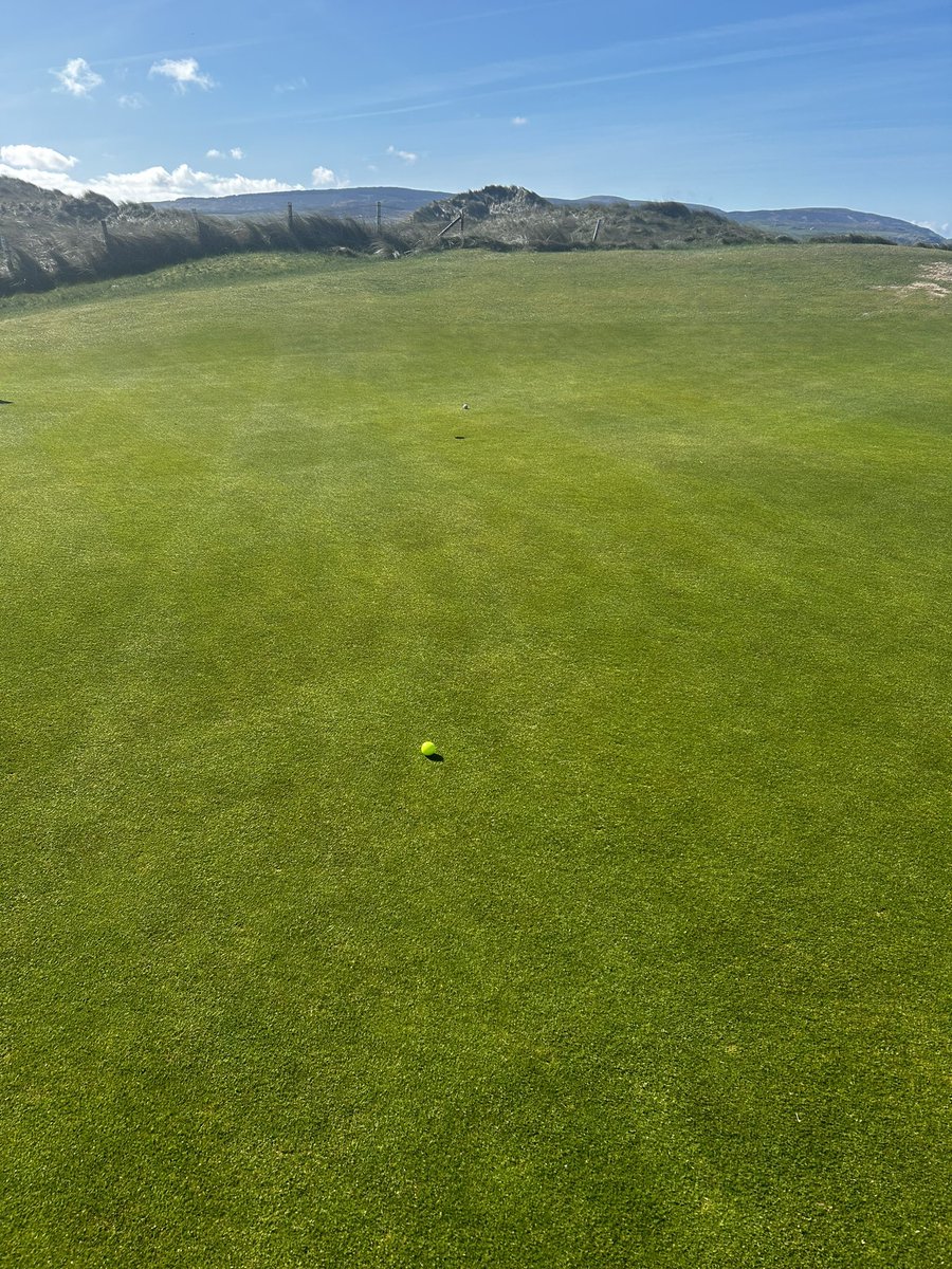 Stevie Gil tweet media