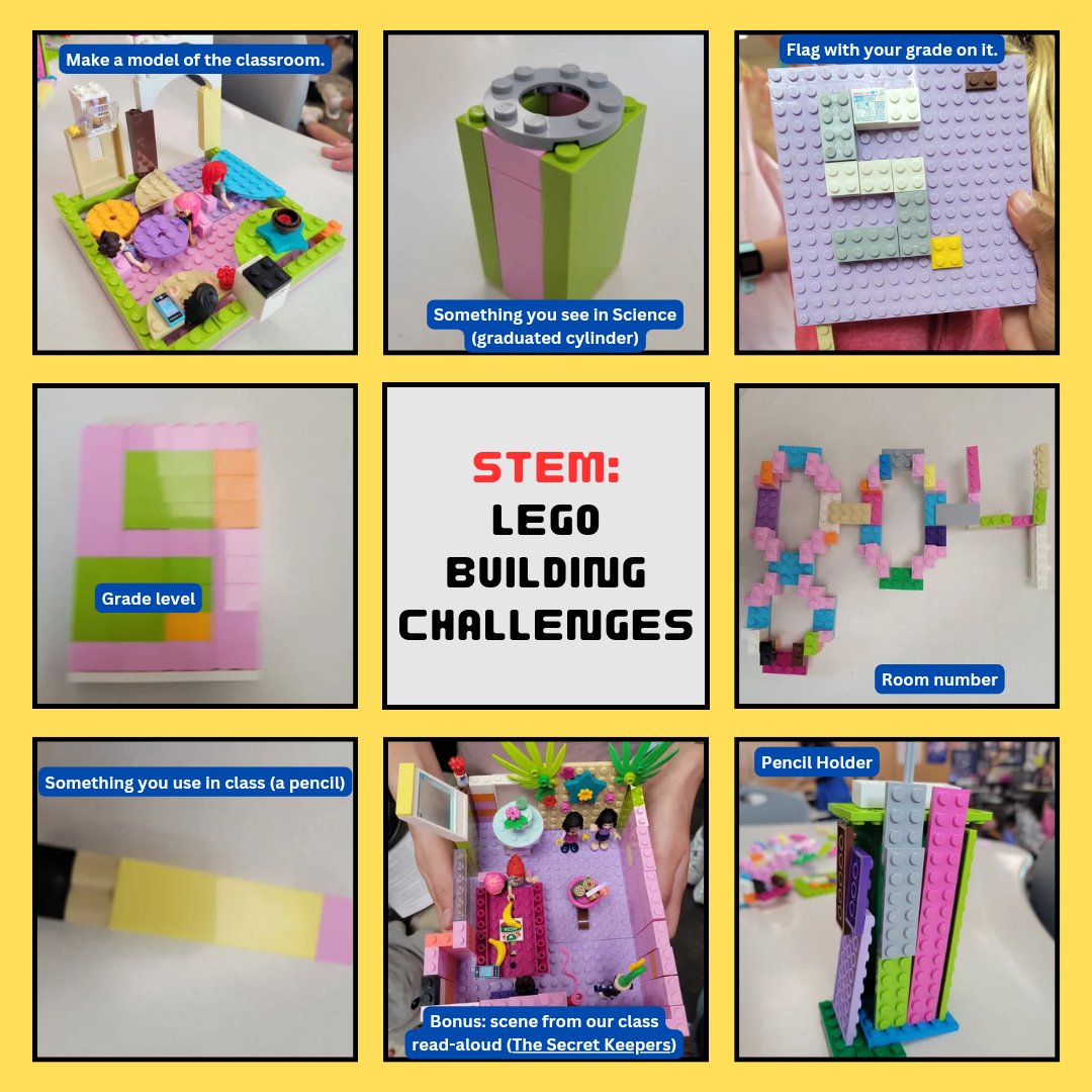 Kristi Shepherd tweet media