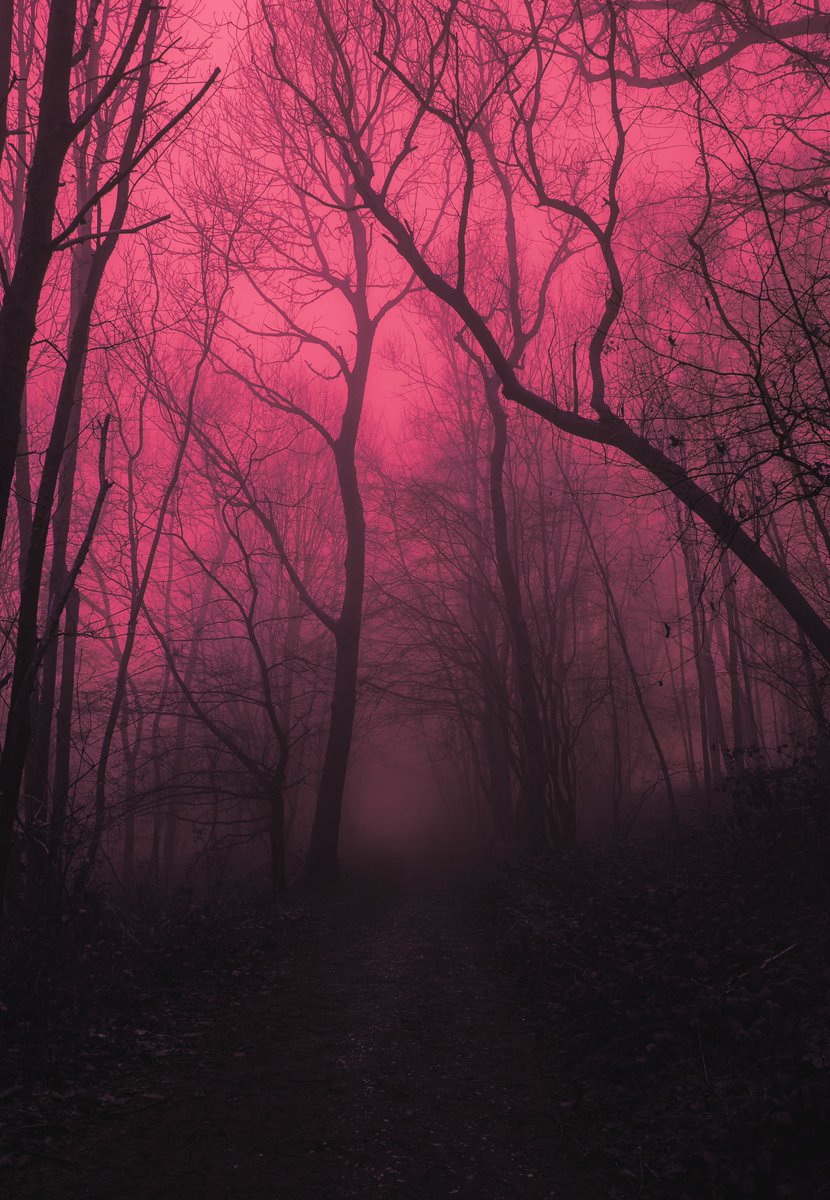 trees in pink