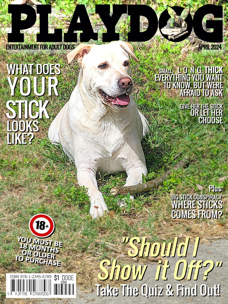 PLAYDOG MAGAZINE, Entertainment for Adult Dogs. What does your stick looks like? - Featuring Lincoln. Only for dogs +18 months or older 🔞