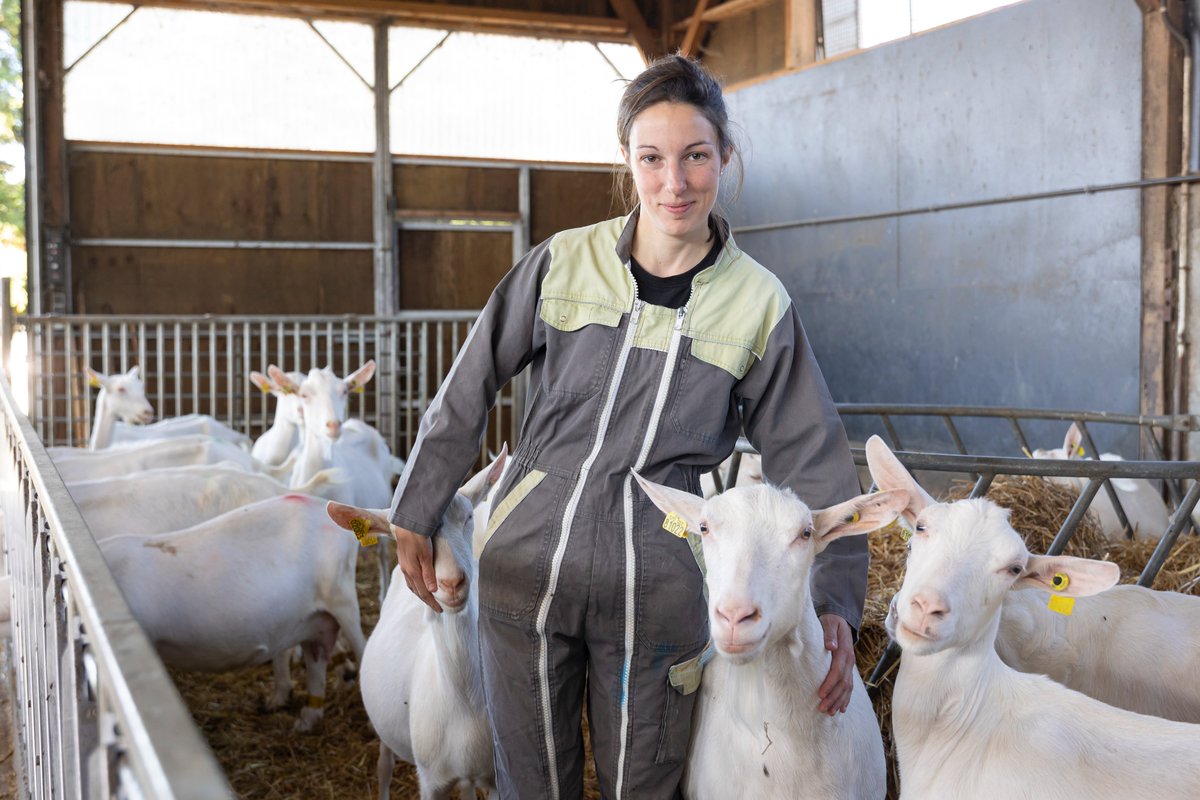 Département Vendée tweet media