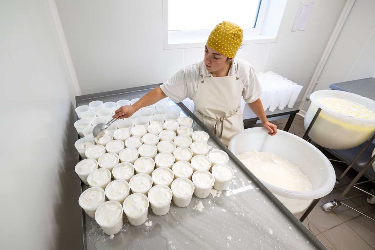 Département Vendée tweet media