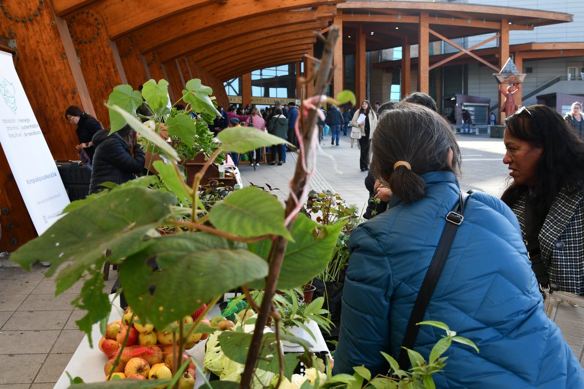 DidecoPM's tweet photo. En @hospitalpm se desarrolló la "Feria de Educación, Salud y Agroecología", como parte de las actividades conmemorativas del Día de la Tierra.

La iniciativa permitió la muestra de emprendedores locales, reciclaje, alimentación saludable, entre otras junto a unidades municipales https://t.co/dgTMhJHT4v