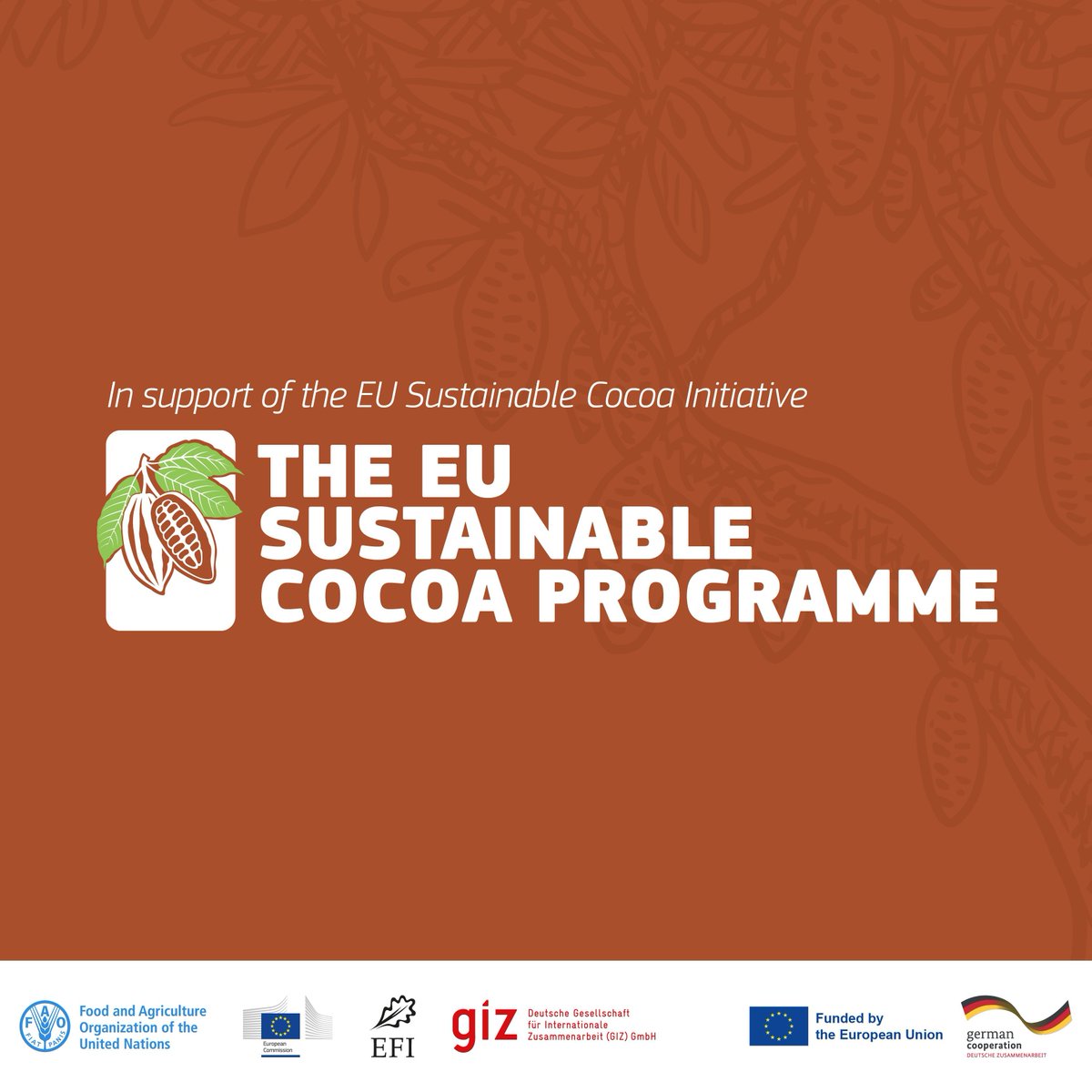 Know your trees🌱 When you mix cacao plants with shade trees to achieve sustainability, you need to observe and analyse trees before taking action Producer insights at a workshop in Belgium on 18-19 April 2024, on the definition of agroforestry systems in #Cameroon and around🌍