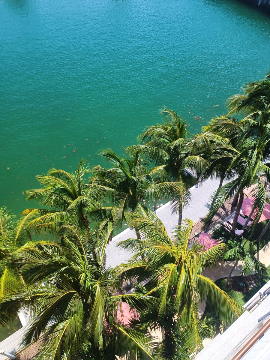 grandbayharbor's tweet photo. This could be your next vacation view. https://t.co/zb0DJWe8Gk

#grandbayharbor #gbbmoments #waterfront #roomviews #palmtrees #miamibreeze https://t.co/JcxEJjn7rk