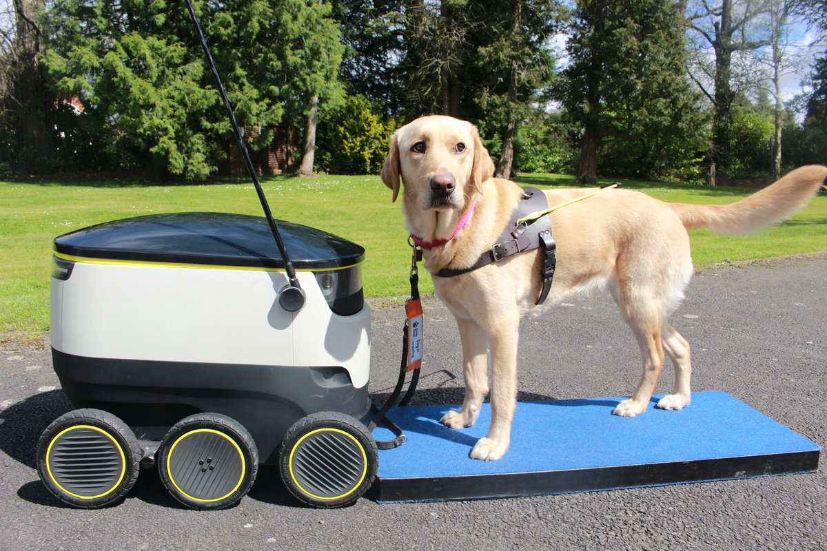 Today is #InternationalGuideDogDay!🐾 When @guidedogs reached out about training pups around robots, we knew we could help. Donating a repurposed, decommissioned robot shell helps the program train guide dogs to navigate streets confidently with our friendly robots around.🦮🤖🫶