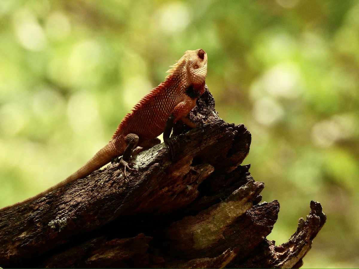 If ~~

you're lonely ~~
when you're alone, 
you're in bad company.!
Jean Paul Sartre

#wildwednesday #wildandfree #vrupix