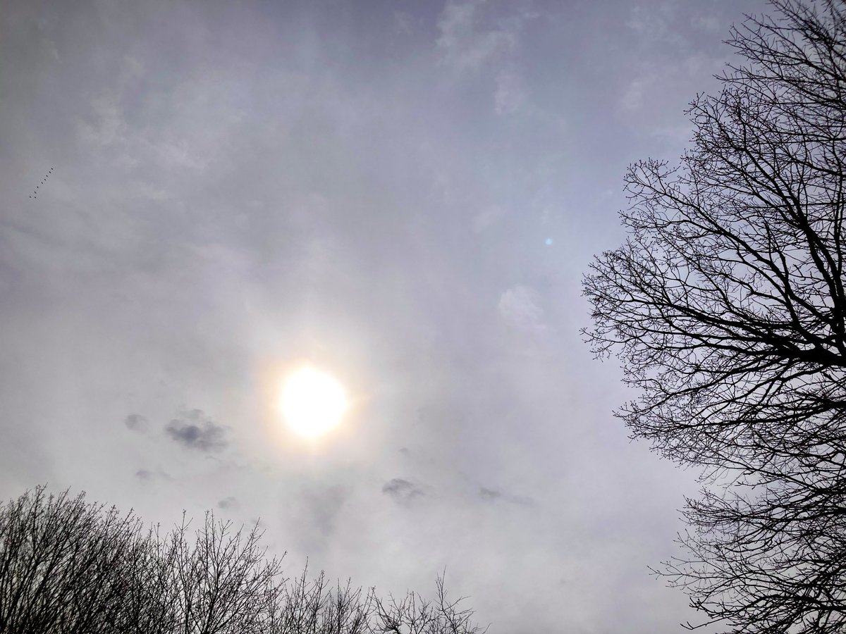 #NaturePhotography
#Naturephotography
#photography #Photography 
#nature #naturelovers
#tree #sky #sunrays #Wednesday 
#greyskys #outside #seasons 
#April #naturesbeauty
#Spring #sun #suncolors #clouds