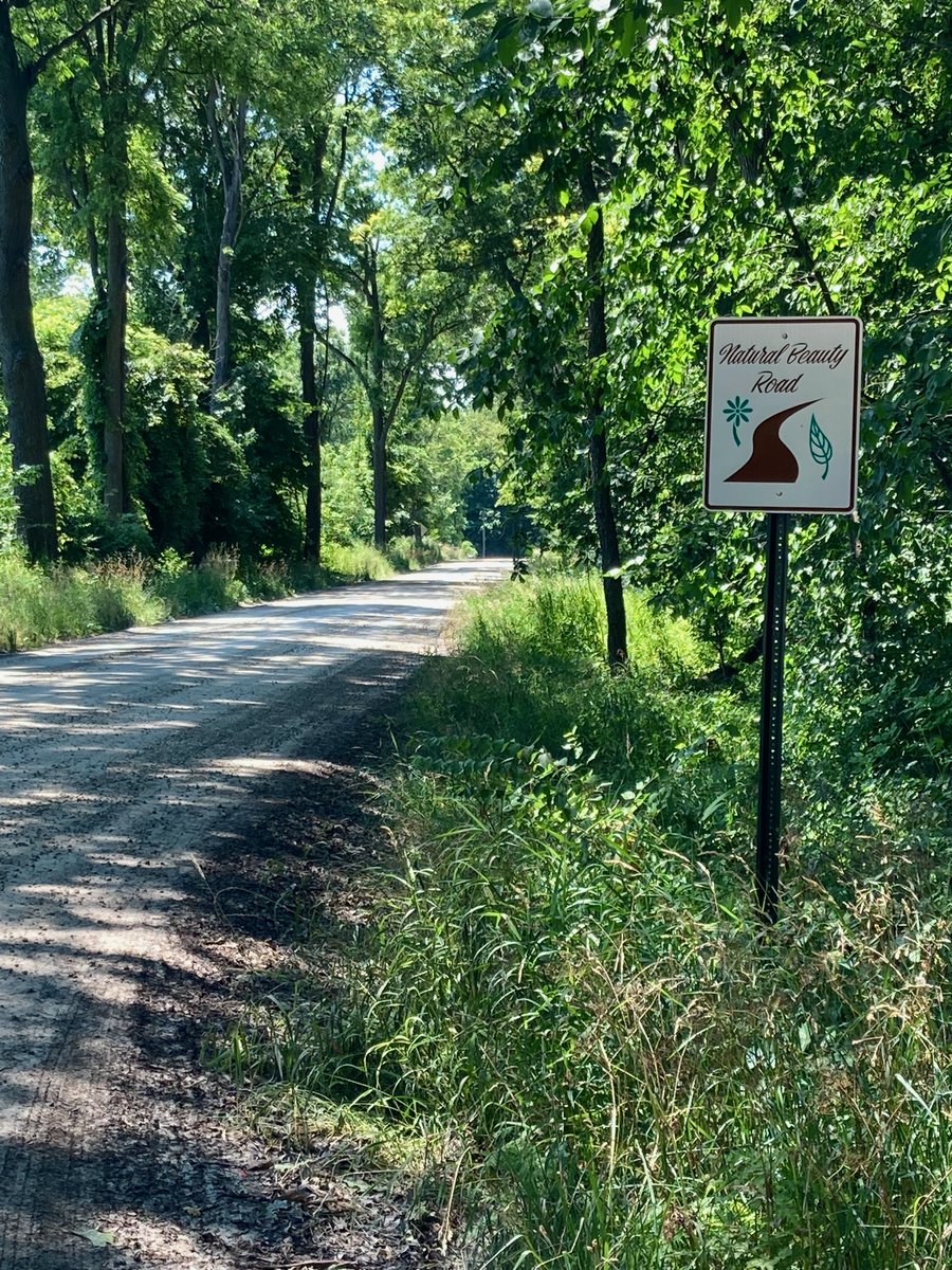 Howdy NAPC delegates! Some of us are planning a group bike ride for the Wednesday of the meeting. So if you're interested in a change of pace and seeing some great Michigan scenery, let me know!