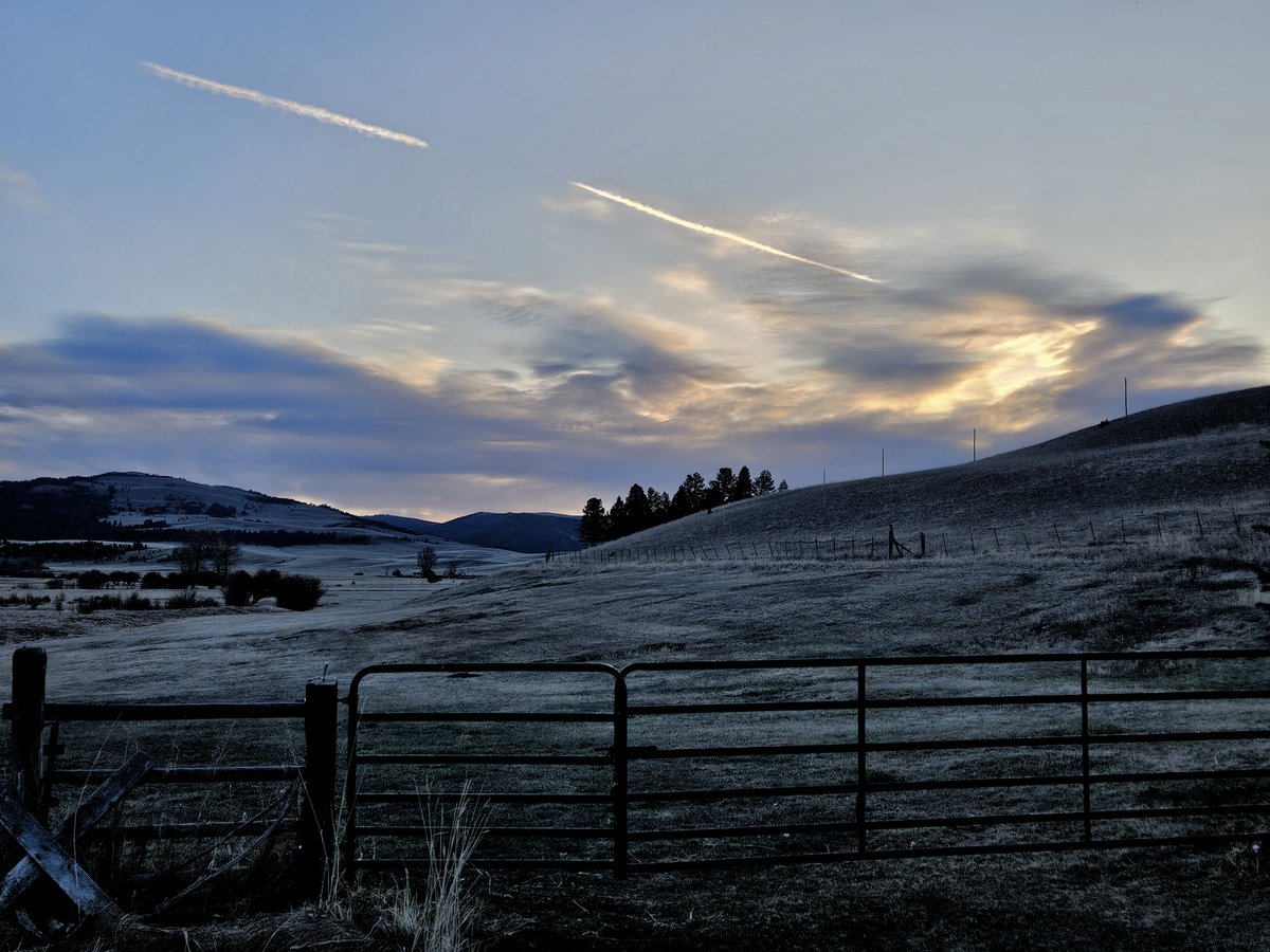 Morn’ My Montana, Dawn filtered in, clear pale skies, but for angry clouds out NE way. Dry tan hillsides hide miniature world of plants, blossoms. Meadowlarks call pierces quiet. Waterfowl stop at ponds. Garden work, repot seedlings. 21ºF headed to 70. Ya’ll be careful out there!