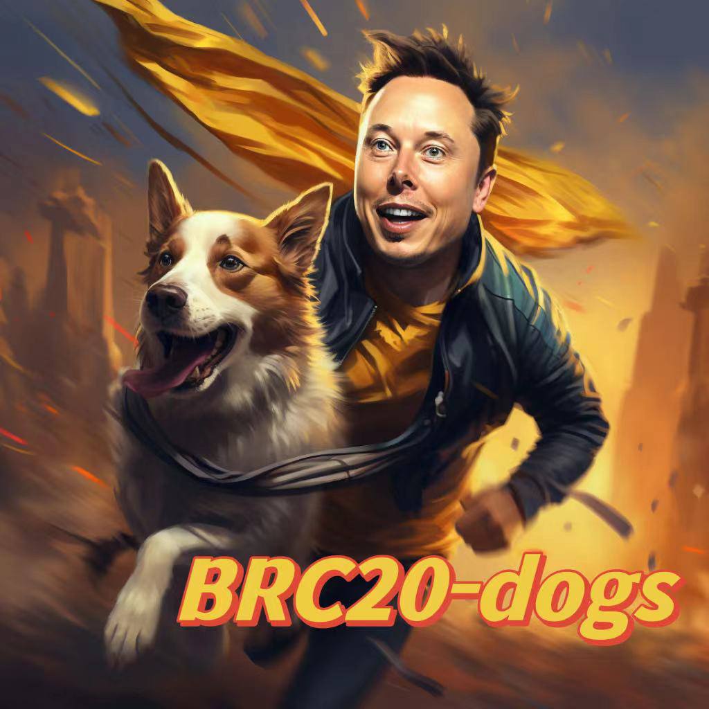 Brc20-Dogs社区 tweet media
