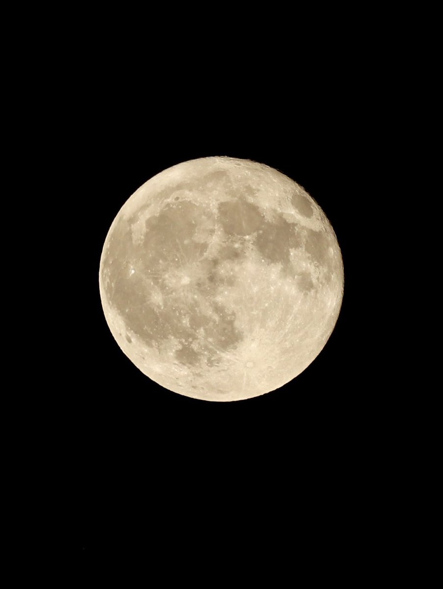 雲が取れて満月が見れました
おやすみなさい
良い夢を
#ピンクムーン
#イマツキ
#満月