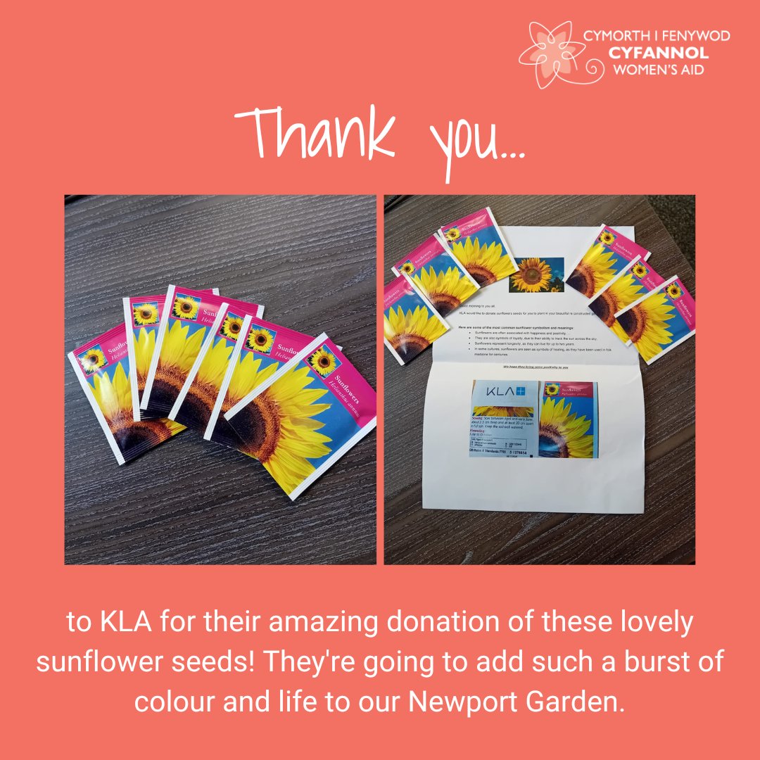 We're so grateful to @KLAcorp - Newport for their amazing donation of these lovely sunflower seeds! They're going to add such a burst of colour and life to our Newport Garden. We're excited to watch them grow and brighten up our space 🌻