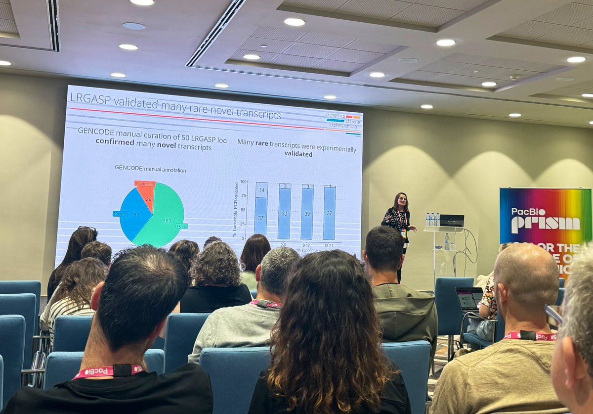 Fantastic talk by @anaconesa sharing insights in transcriptional complexity with single-molecule sequencing🤩showing many rare + novel transcripts identified with #longread sequencing can be experimentally validated -they're REAL novel isoforms! An time for transcript discovery🧬