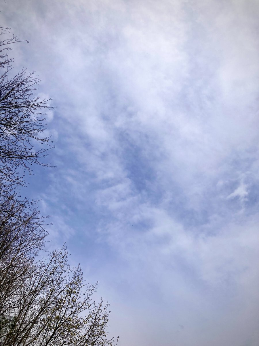 #NaturePhotography
#Naturephotography
#photography #Photography 
#nature #naturelovers
#tree #sky #Wednesday 
#outside #seasons 
#April #naturesbeauty
#Spring #clouds #cloudbridge