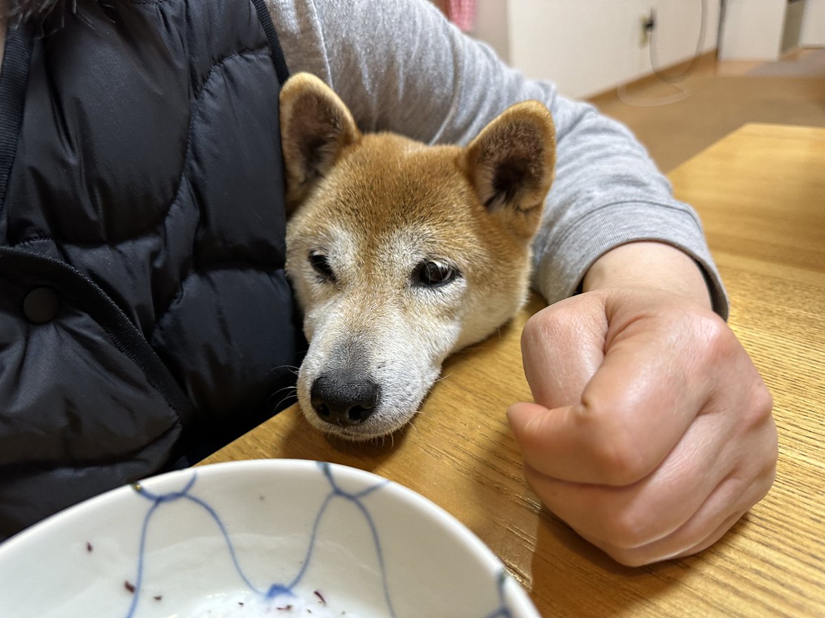 くれそうにもないワン😔💕🎶