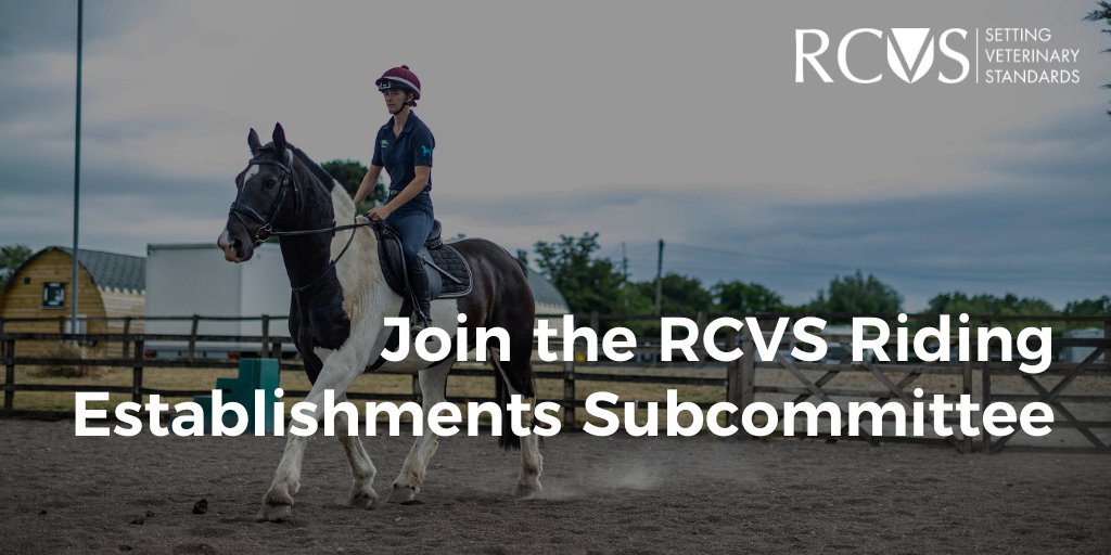 The RCVS Riding Establishments Subcommittee is seeking a new member! If you are a current veterinary Riding Establishment Inspector, familiar with trekking centres and seasonal establishments, please apply here: ow.ly/32Cs50Rb7ui