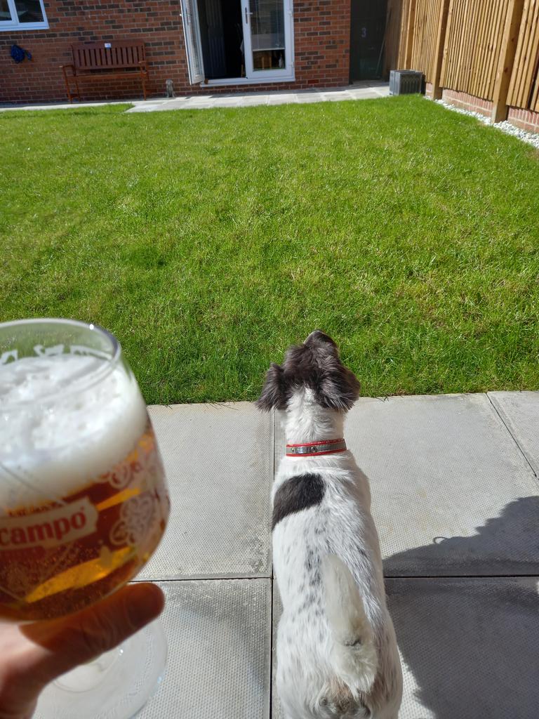 steve hayes tweet media