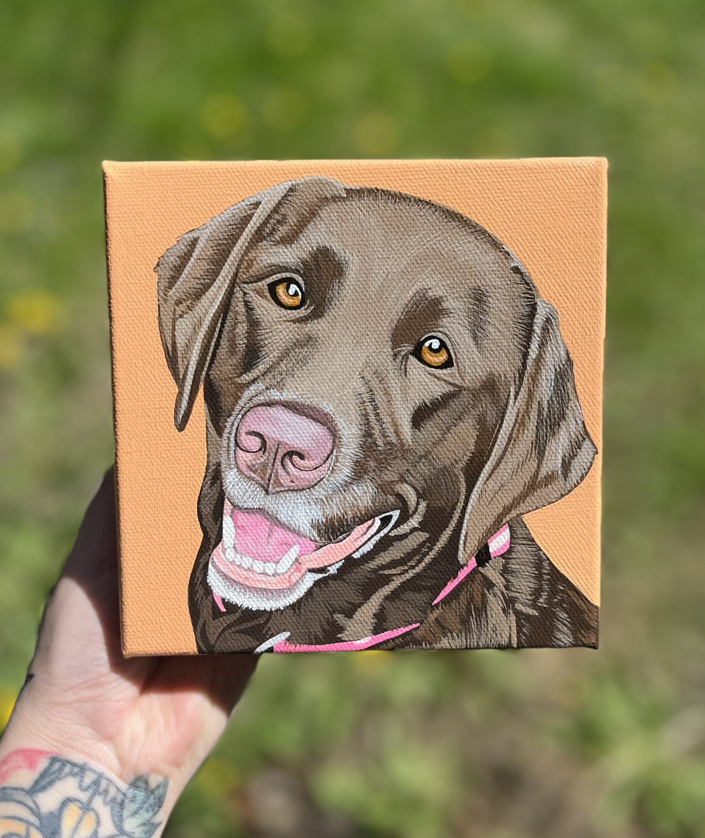 New pet portrait 🧡

Books open for May🫶🏻

#artbyjangles #art #artist #artoftheday #drawing #paint #painting #acrylicpainting #dog #dogs #chocolatelab #lab #labrador #petportrait #portraitpainting