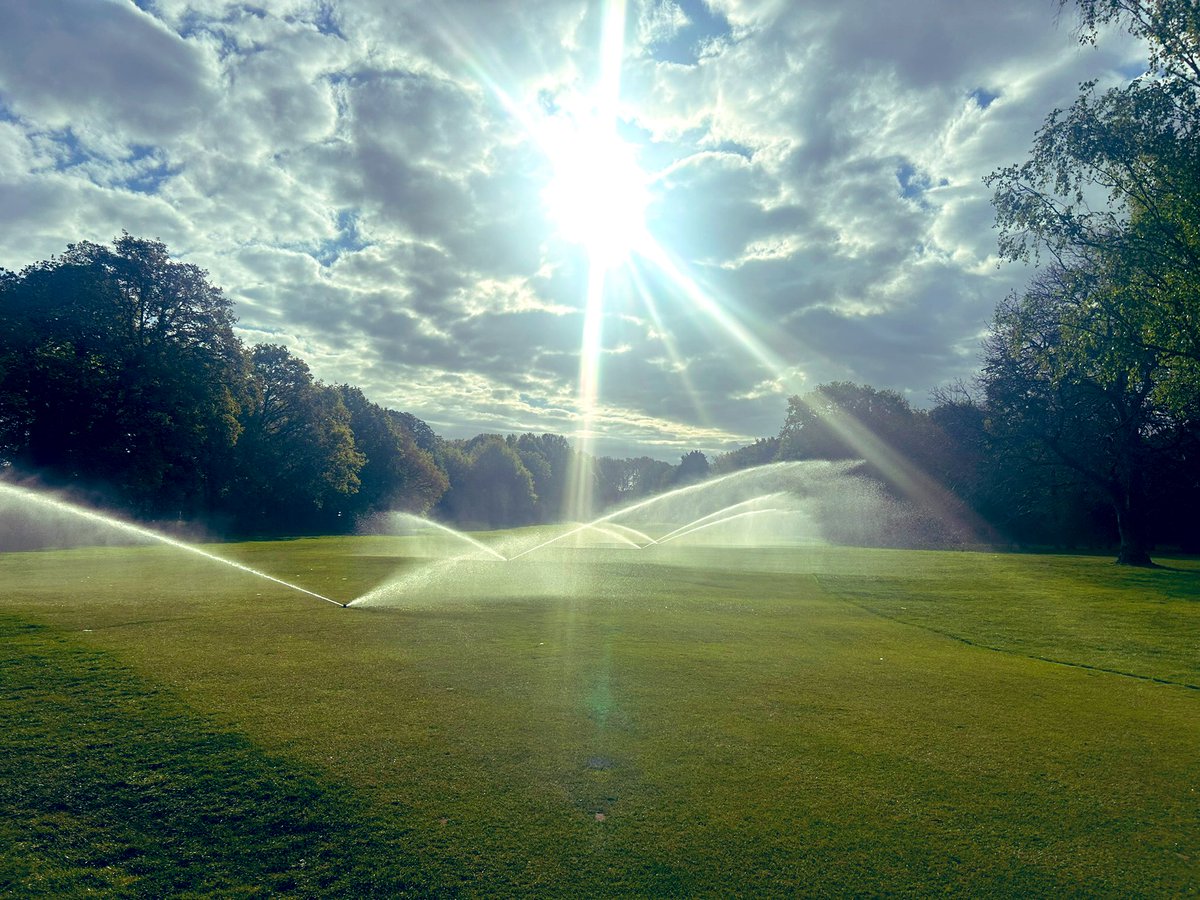 Wayne Aris tweet media