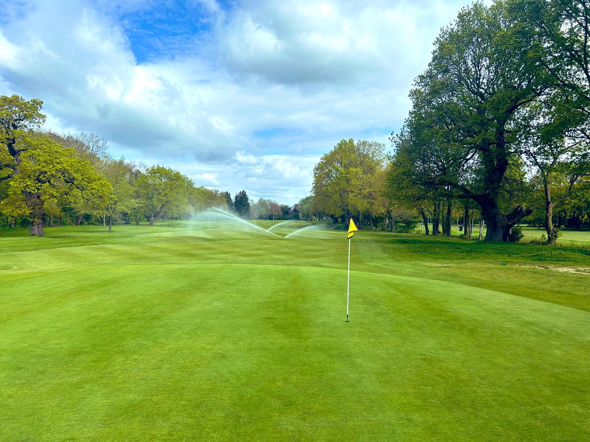 Wayne Aris tweet media