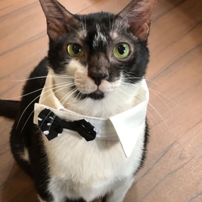 Happy 3rd years adoption ♥️ #NewProfilePic