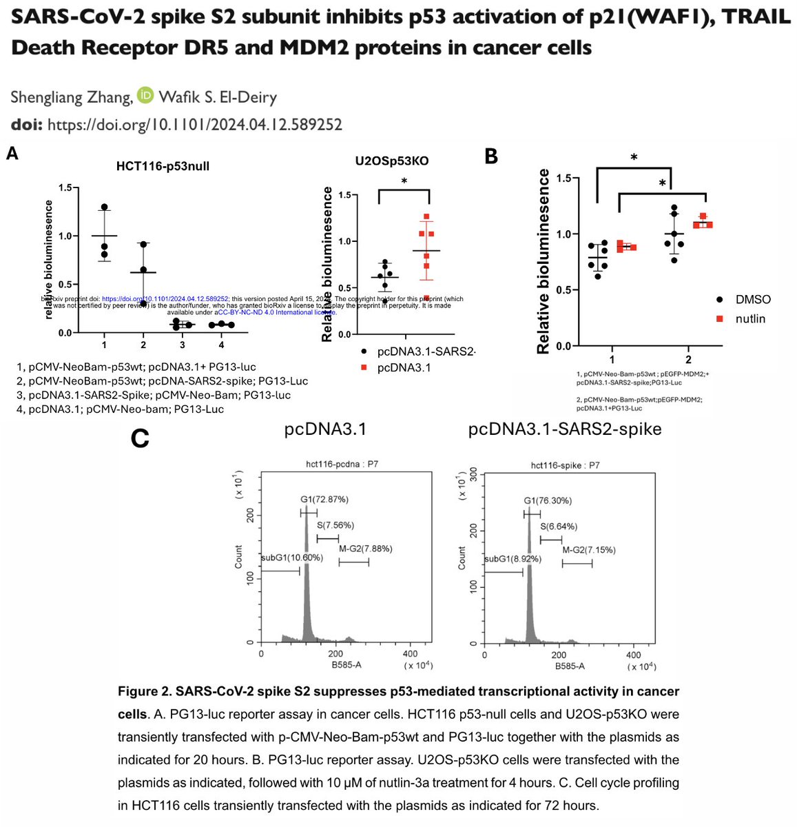 NEW STUDY: SARS-CoV-2 Spike protein, which is produced by cells after COVID-19 mRNA vaccination, suppresses p53 transcriptional activity in cancer cells, leading to altered DNA damage sensing and possible uncontrolled cancer growth. This is the first study to demonstrate this…