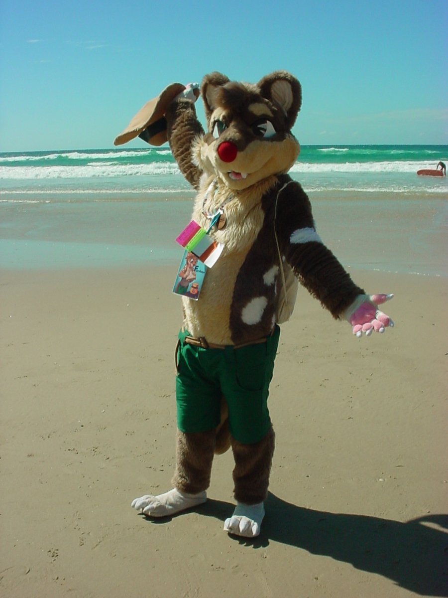 Sarkoth 🇵🇸 (@sarkysarkoth) on Twitter photo 