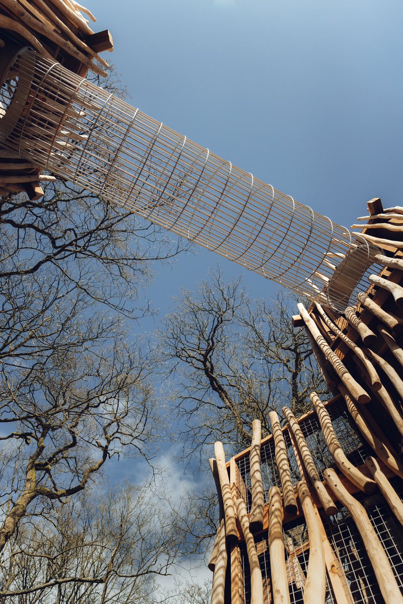 ChatsworthHouse's tweet photo. Our new woodland playground at the farmyard is now open! Climb our giant towers for a view of the tree tops, venture along high rope bridges and zoom down slides. Discover games inside the towers - accessible for everyone with our new pathways and ramp access. #chatsworth https://t.co/ynuj4rDI90