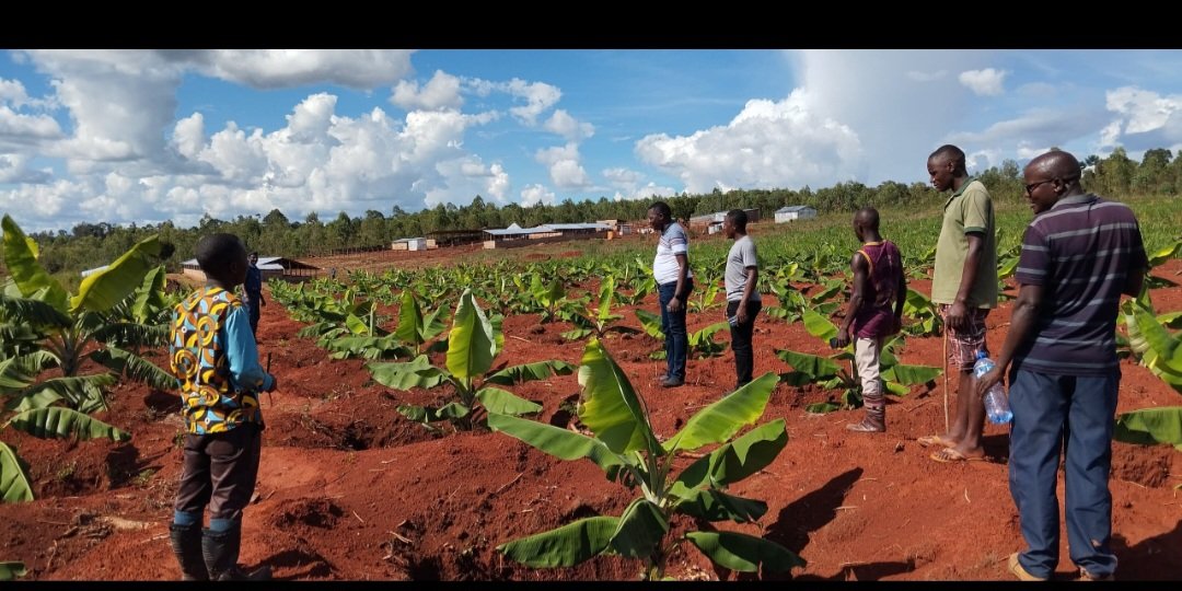 Agribusiness