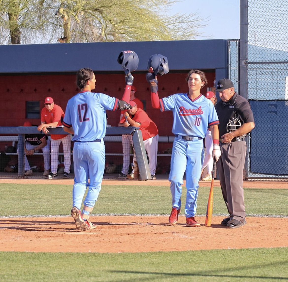 Taylor Trillo tweet media