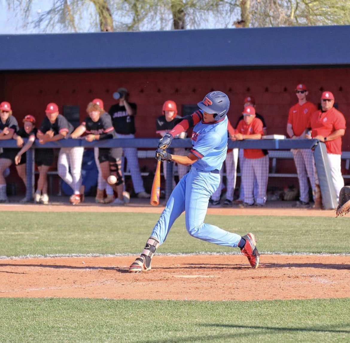 Taylor Trillo tweet media