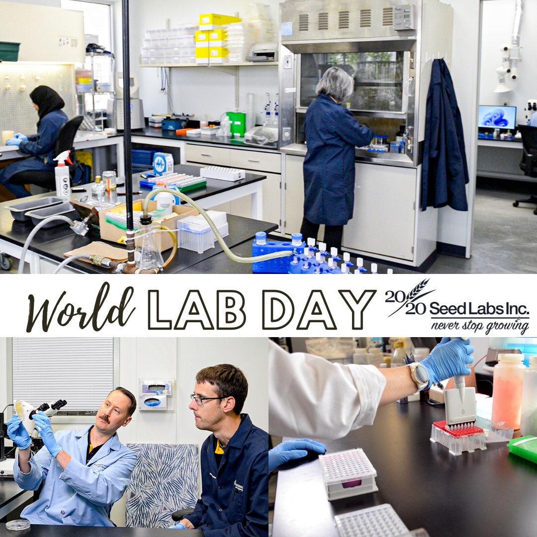 It's #WorldLabDay! From germination and purity to disease diagnostics and molecular testing to research and special projects we have a lot going on!  Want to learn more? Come by for a tour and see how we help our customers #NeverStopGrowing #CdnAg #Winnipeg #Nisku