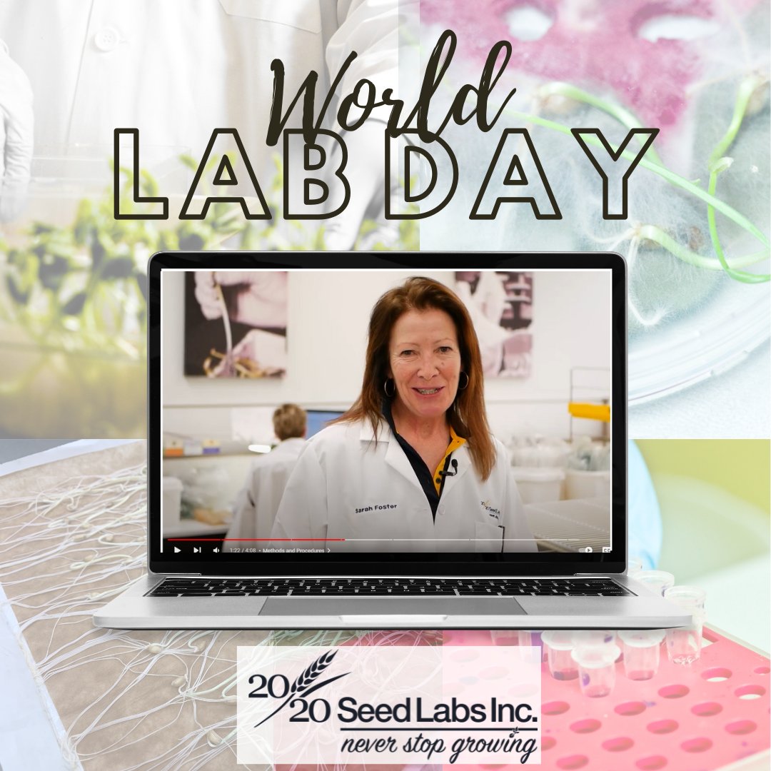 2020SeedLabs's tweet photo. It's #WorldLabDay! From germination and purity to disease diagnostics and molecular testing to research and special projects we have a lot going on! Want to learn more? Come by for a tour and see how we help our customers #NeverStopGrowing #CdnAg #Winnipeg #Nisku https://t.co/IEcOsuSVkW