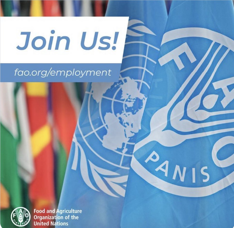 ‼️Job‼️ @FAOSenegal is looking for a french speaking international coordinator for our project with #fisheries women processors in #Casamance 🦐🐟 If you are a suitable candidate, please do not hesitate to apply 👉fao.taleo.net/careersection/… #BlueTransformation #SmallScaleFisheries