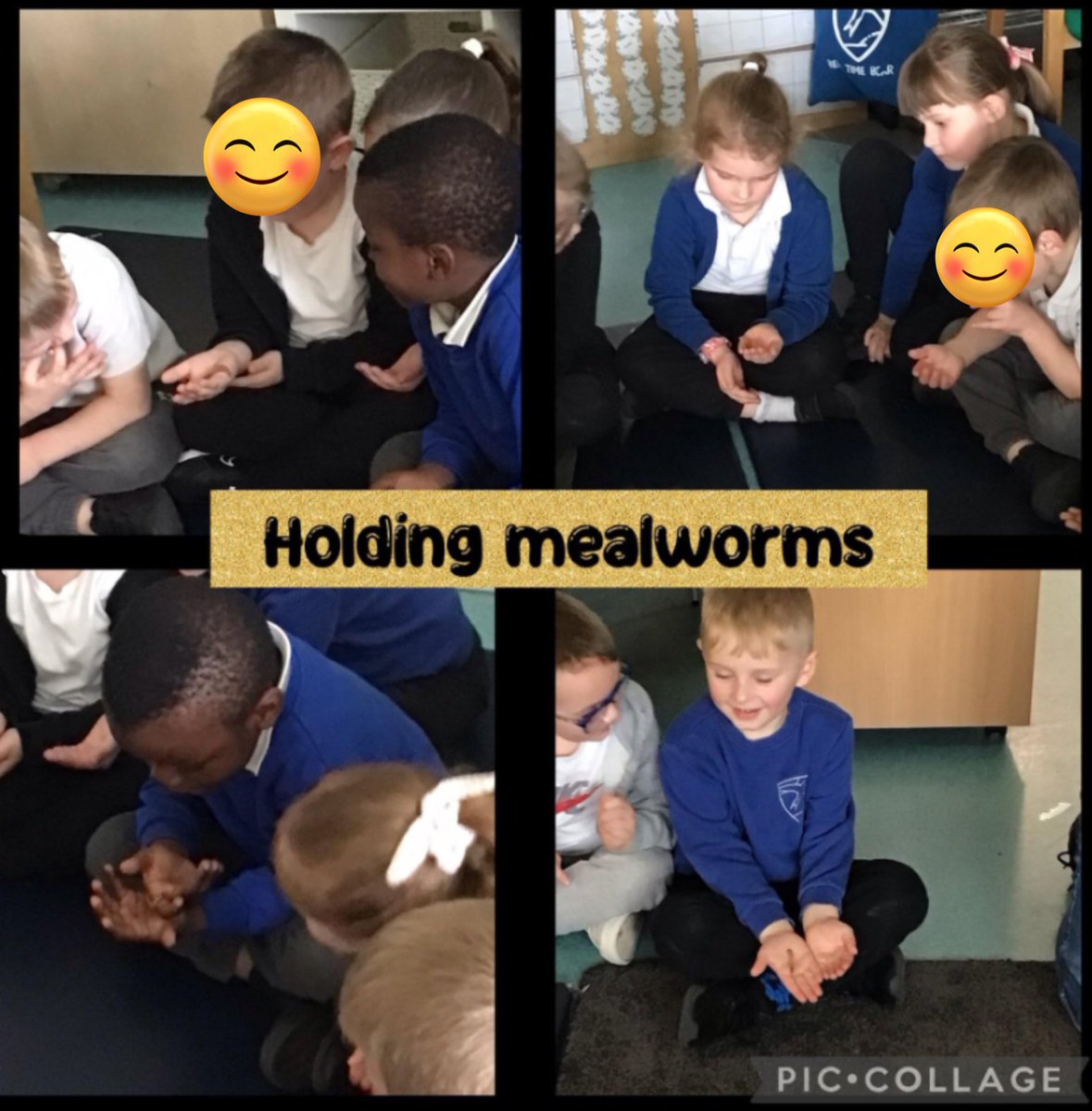 Today Reception children have been so lucky because Mr Arnold, the mini-beasts expert, came into our class to show us some mini-beasts. 🐛🪱🦗🪳@RedhillTrust