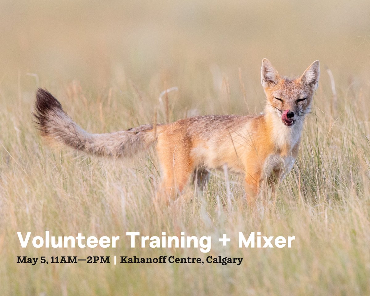 cpawssab's tweet photo. Come hang out with us and learn how you can take meaningful conservation action in #Alberta as a @cpawssab volunteer https://t.co/aTFIiLvCEp ๐๐ผ
Tasty lunch is on us ๐๐ผ
#DefendAlbertaParks #MountainsNotMines #WaterNotCoal #Calgary #Banff #Canmore #CalgaryEvents #YYC #YYCEvents https://t.co/t6xXdgSlwt