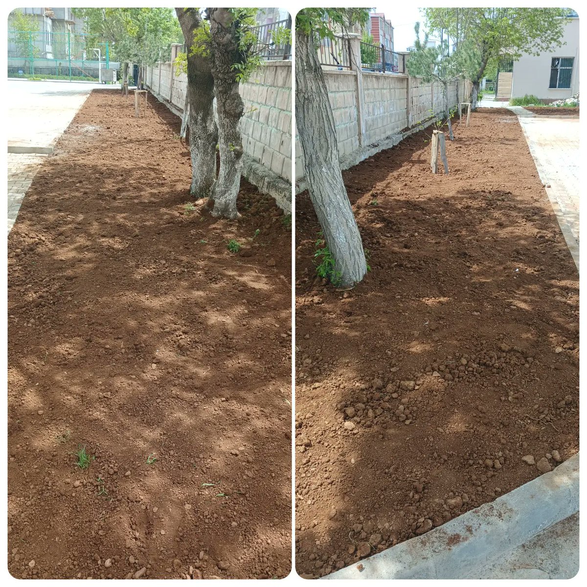 Yeşil alanları artırıp doğayı korumak,  öğrencilerimizi doğasever birer birey olarak yetiştirmek, okulumuzn bahçesine doğal bir görünüm kazandırıp bahçemizi güzelleştirmek amacıyla idareci, öğretmen, personellerimizle birlikte çalıştık. Emek veren herkese teşekkür ederiz.