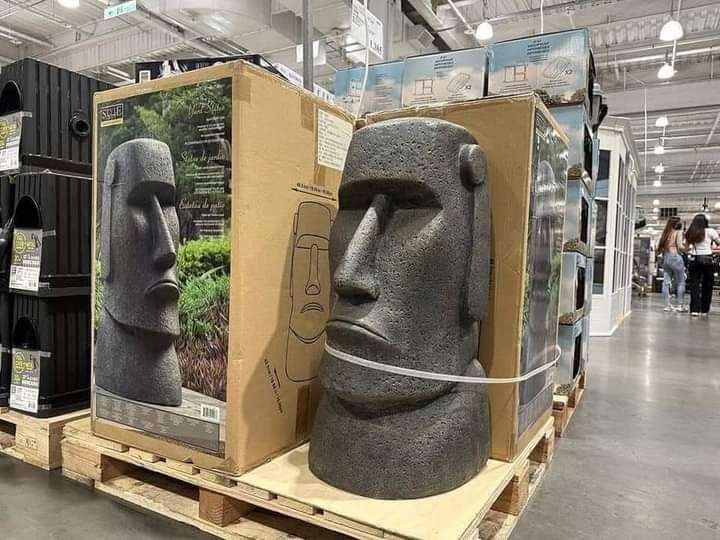 Moai mystery origins solved at Costco...🗿
