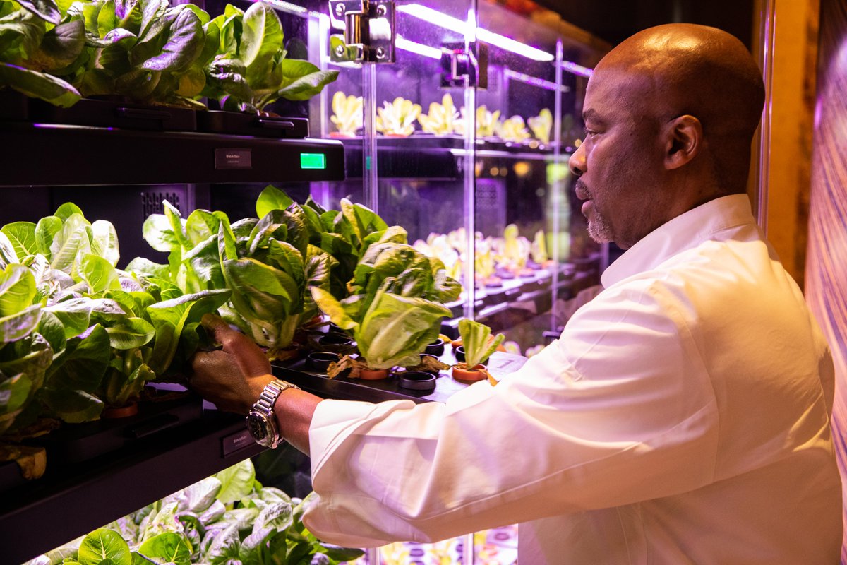 While #EarthWeek comes only once a year, sustainability is an ongoing effort. Using fresh, sustainably grown herbs from our hydroponic garden, our executive chef and his culinary team infuse our dining menus with hand-picked, seasonal flavors. #Hilton #TravelWithPurpose #EarthDay