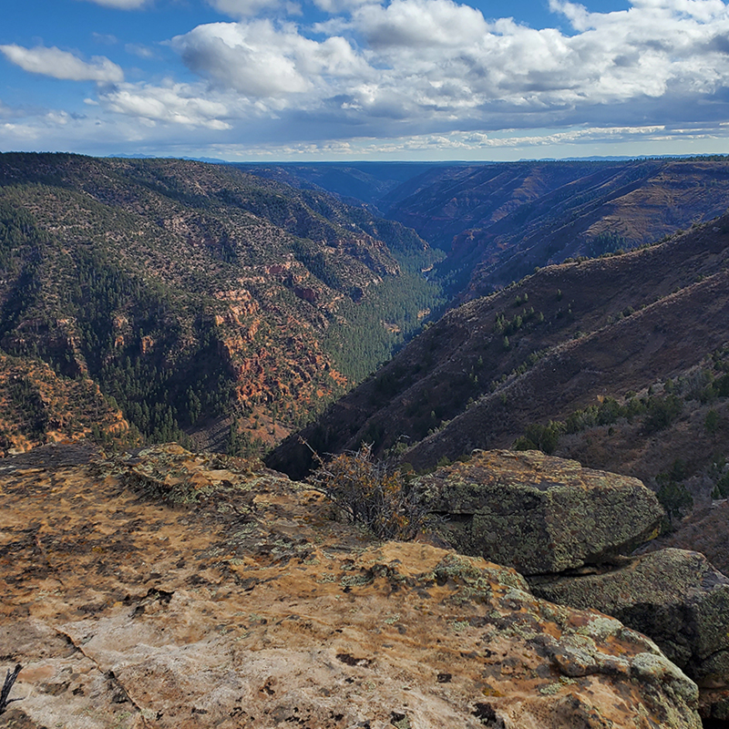 ubcobikes's tweet image. This week, we joined a coalition of brands that are donating 5% of online sales to TCA, helping fund and advocate for the protection of North America’s wild places and outdoor spaces. 

For more info: conservationalliance.com

Thank you for helping us keep it wild! #WeKeepItWild